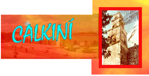 Portada de Calkiní.net
